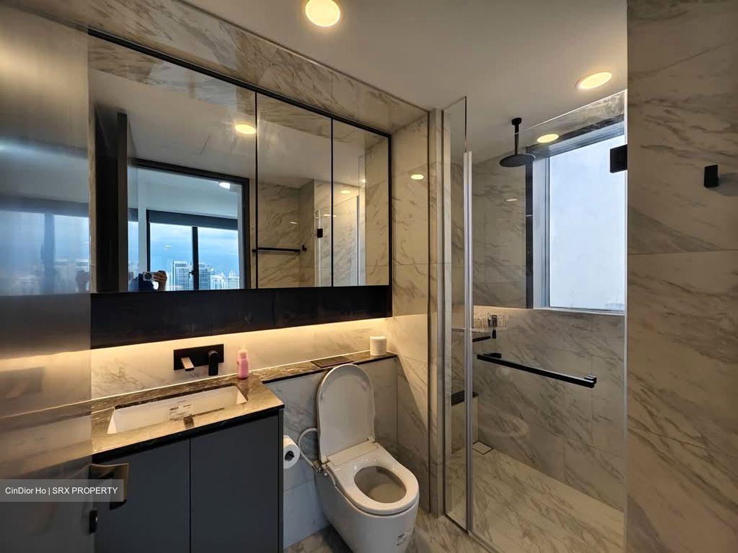 The Landmark (D3), Condominium #549347311